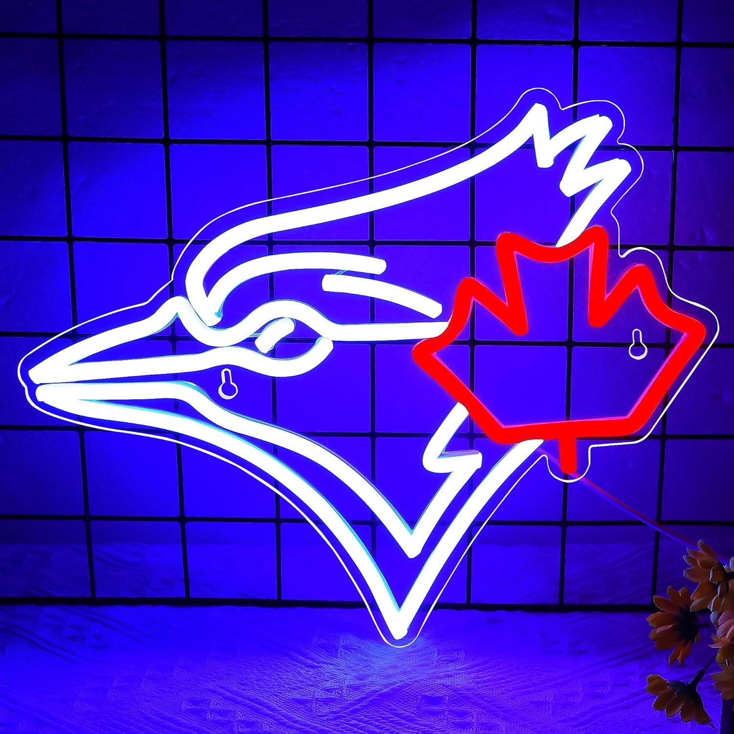 USB Dimmable Blue Jay with Map - Jay Lighting Decor ulasan dan harga