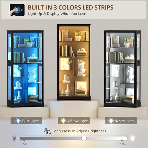71” Glass Display Cabinet with - Lighting & Home Decor Studio Photos ulasan dan harga
